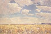 Childe Hassam Afternoon Sky,Harney Desert (mk43) china oil painting reproduction